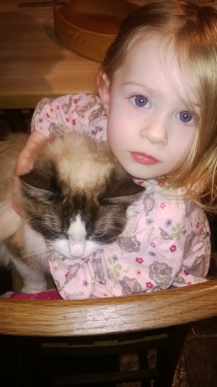 179 Heartwarming Photos Of Kids Playing With Their Cats 179 Heartwarming Photos Of Kids Playing With Their Cats