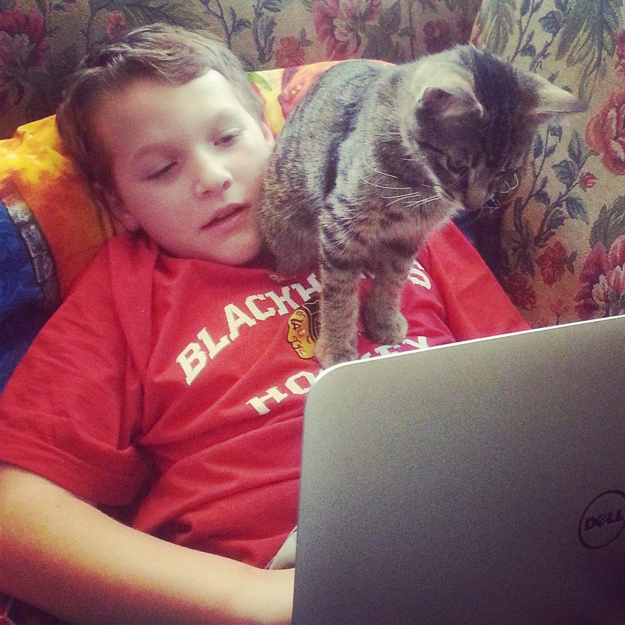 179 Heartwarming Photos Of Kids Playing With Their Cats 179 Heartwarming Photos Of Kids Playing With Their Cats