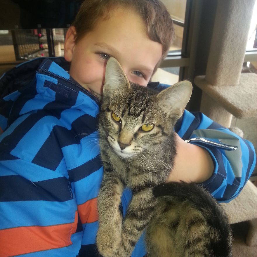 179 Heartwarming Photos Of Kids Playing With Their Cats 179 Heartwarming Photos Of Kids Playing With Their Cats