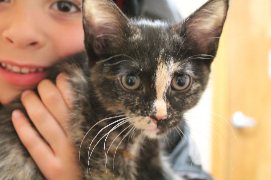 179 Heartwarming Photos Of Kids Playing With Their Cats 179 Heartwarming Photos Of Kids Playing With Their Cats