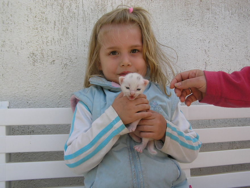 179 Heartwarming Photos Of Kids Playing With Their Cats 179 Heartwarming Photos Of Kids Playing With Their Cats