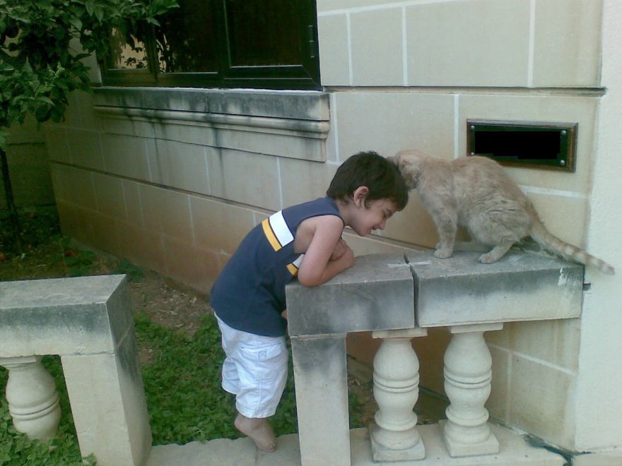 179 Heartwarming Photos Of Kids Playing With Their Cats 179 Heartwarming Photos Of Kids Playing With Their Cats