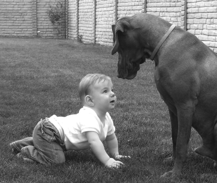 179 Heartwarming Photos Of Kids Playing With Their Cats 179 Heartwarming Photos Of Kids Playing With Their Cats