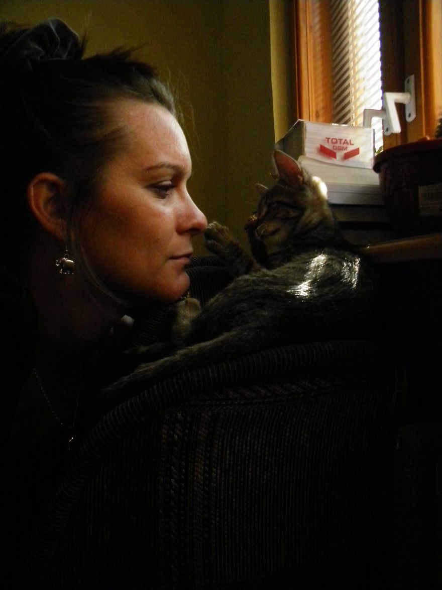 179 Heartwarming Photos Of Kids Playing With Their Cats 179 Heartwarming Photos Of Kids Playing With Their Cats