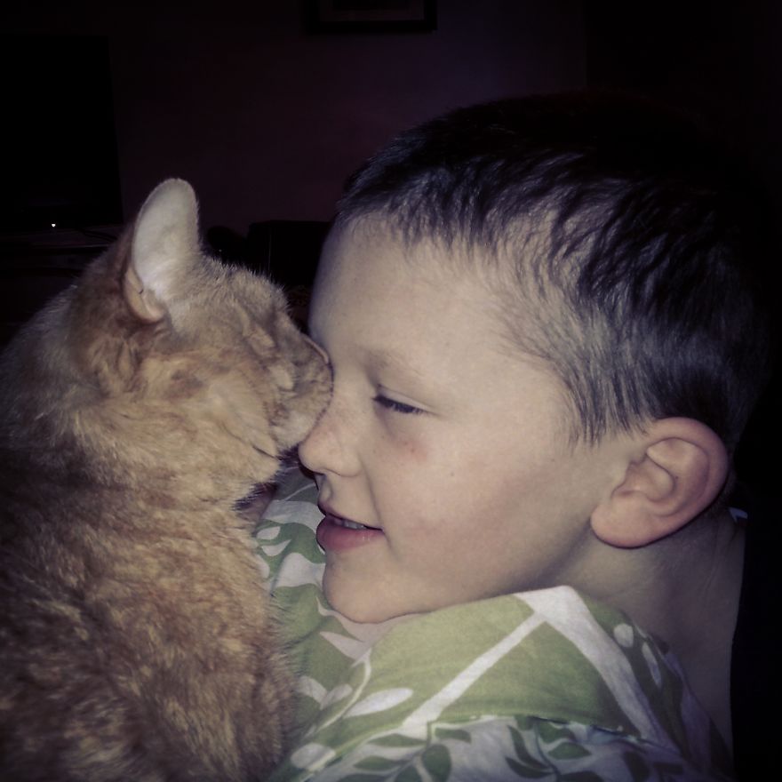 179 Heartwarming Photos Of Kids Playing With Their Cats 179 Heartwarming Photos Of Kids Playing With Their Cats