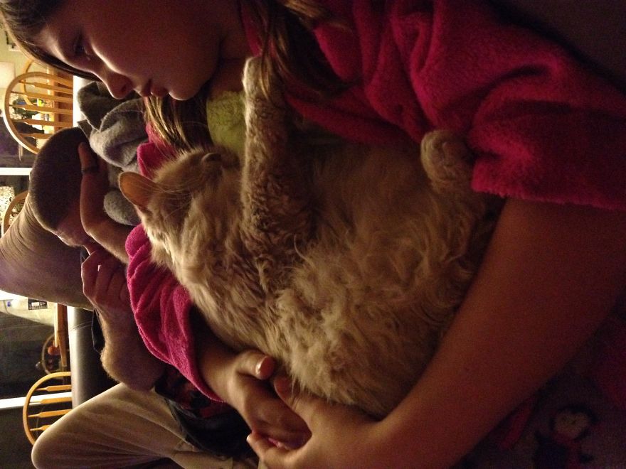 179 Heartwarming Photos Of Kids Playing With Their Cats 179 Heartwarming Photos Of Kids Playing With Their Cats