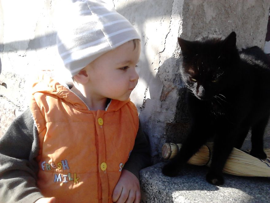 179 Heartwarming Photos Of Kids Playing With Their Cats 179 Heartwarming Photos Of Kids Playing With Their Cats