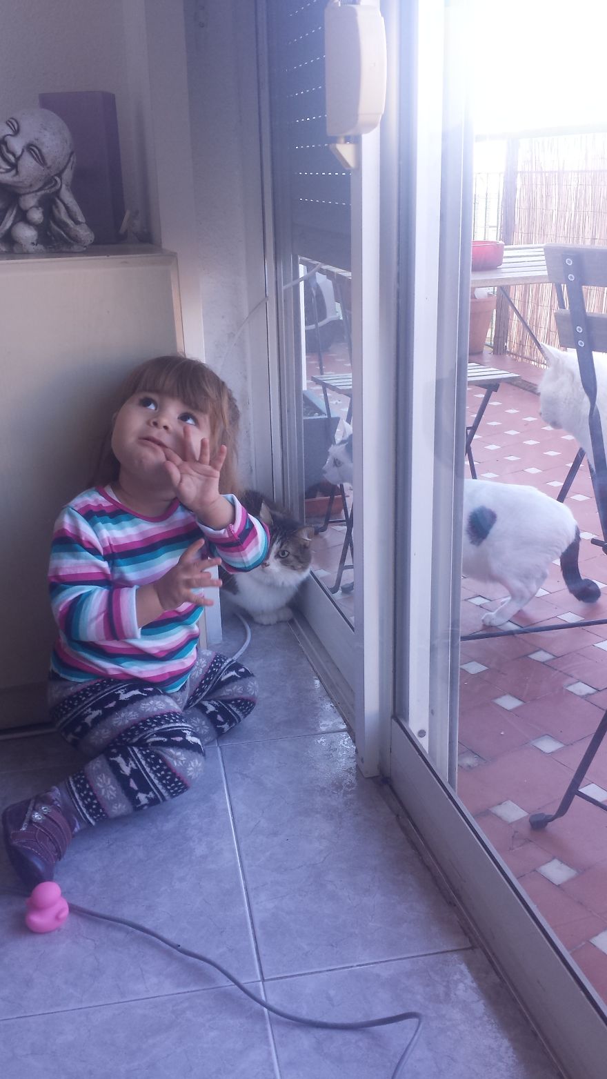 179 Heartwarming Photos Of Kids Playing With Their Cats 179 Heartwarming Photos Of Kids Playing With Their Cats