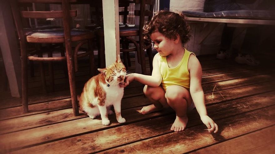 179 Heartwarming Photos Of Kids Playing With Their Cats 179 Heartwarming Photos Of Kids Playing With Their Cats