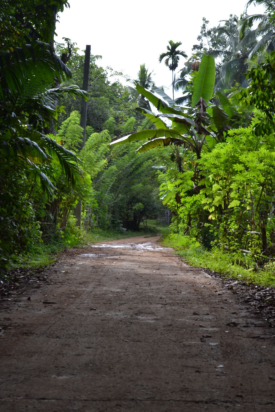 179 Heartwarming Photos Of Kids Playing With Their Cats 179 Heartwarming Photos Of Kids Playing With Their Cats