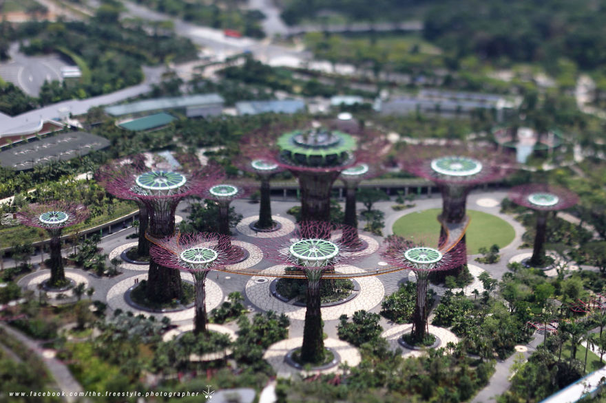 My DIY Tilt-Shift Photography With A Broken Lens