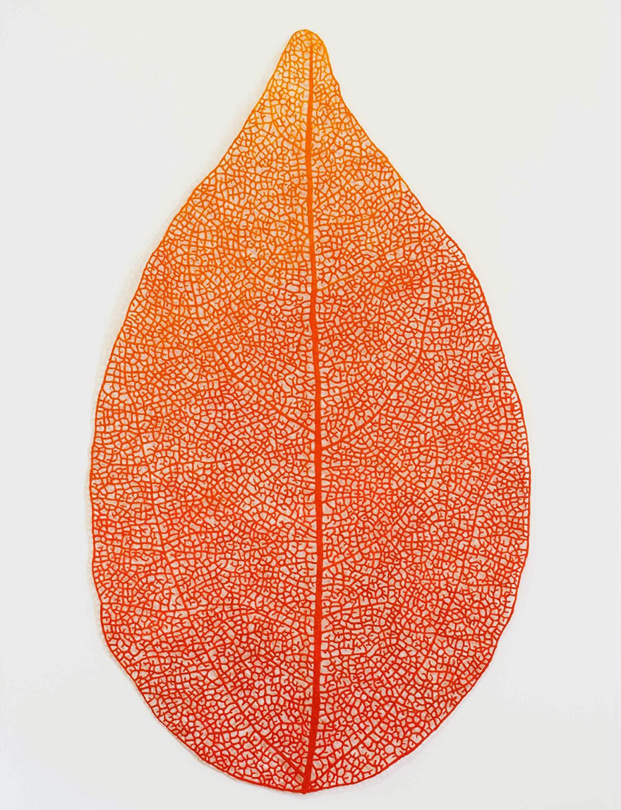 Artist Uses Home Sewing Machine To Capture Nature’s Most Delicate Forms With Embroidery Artist Uses Home Sewing Machine To Capture Nature’s Most Delicate Forms With Embroidery