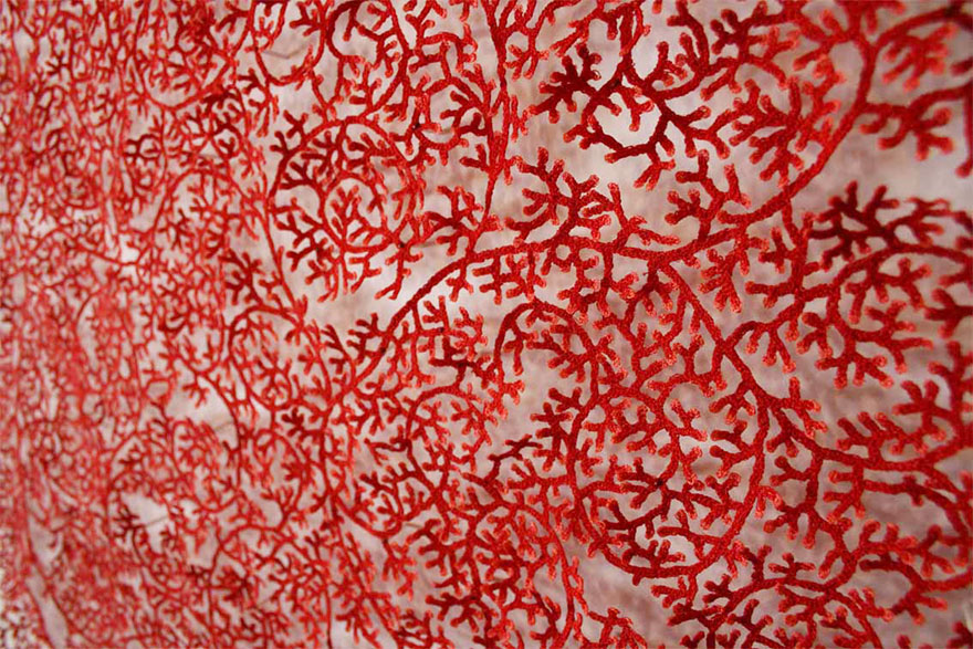 Artist Uses Home Sewing Machine To Capture Nature’s Most Delicate Forms With Embroidery Artist Uses Home Sewing Machine To Capture Nature’s Most Delicate Forms With Embroidery