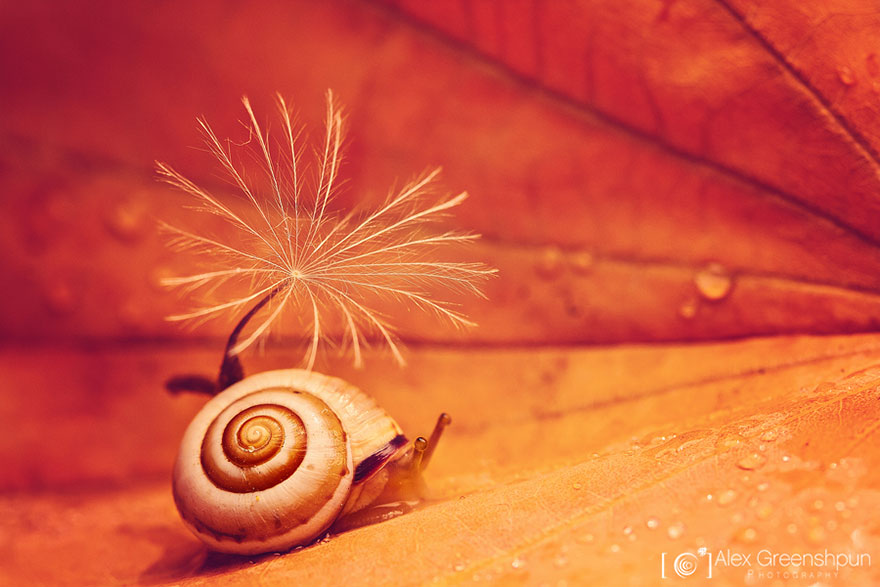 The Magic Of Fall Captured By Alex Greenshpun The Magic Of Fall Captured By Alex Greenshpun