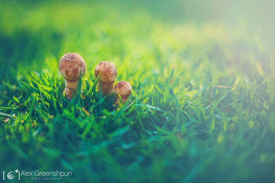 The Magic Of Fall Captured By Alex Greenshpun The Magic Of Fall Captured By Alex Greenshpun