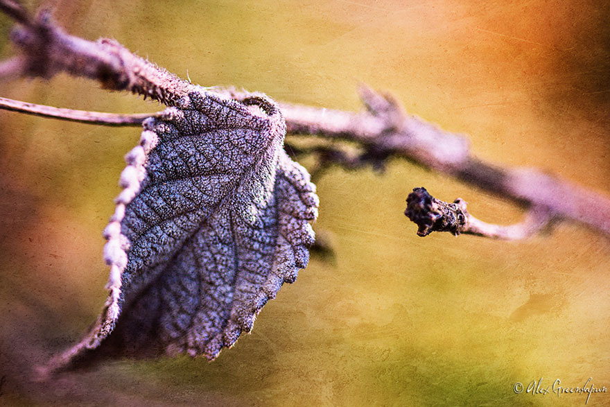 The Magic Of Fall Captured By Alex Greenshpun The Magic Of Fall Captured By Alex Greenshpun