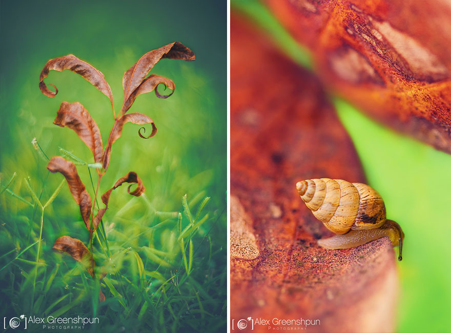 The Magic Of Fall Captured By Alex Greenshpun The Magic Of Fall Captured By Alex Greenshpun