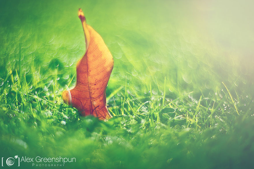 The Magic Of Fall Captured By Alex Greenshpun The Magic Of Fall Captured By Alex Greenshpun
