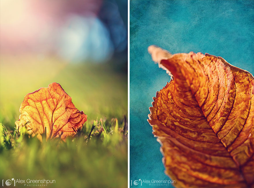 The Magic Of Fall Captured By Alex Greenshpun The Magic Of Fall Captured By Alex Greenshpun