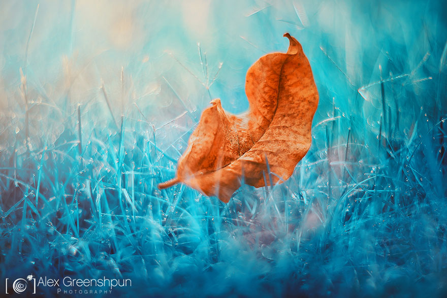The Magic Of Fall Captured By Alex Greenshpun The Magic Of Fall Captured By Alex Greenshpun
