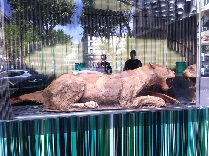 42 Of The Most Creative Works Of Chocolate Art 42 Of The Most Creative Works Of Chocolate Art