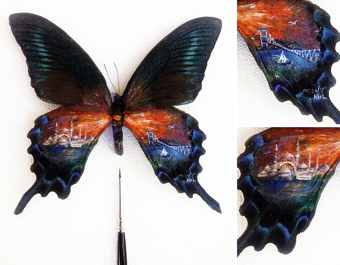 Micro Paintings By Mesut Kul