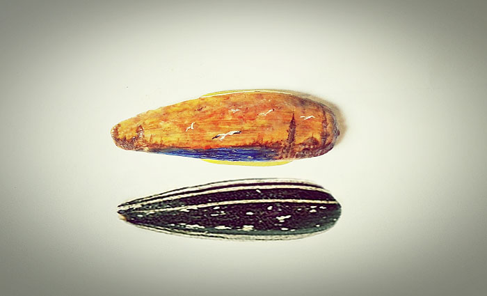 Micro Paintings By Mesut Kul