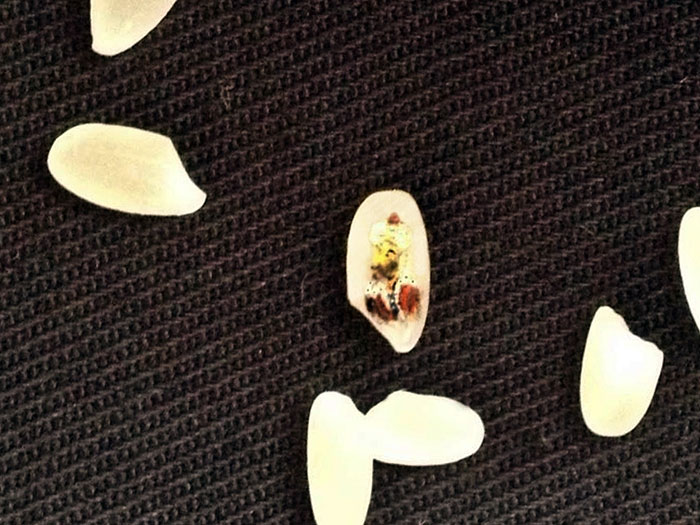 Micro Paintings By Mesut Kul