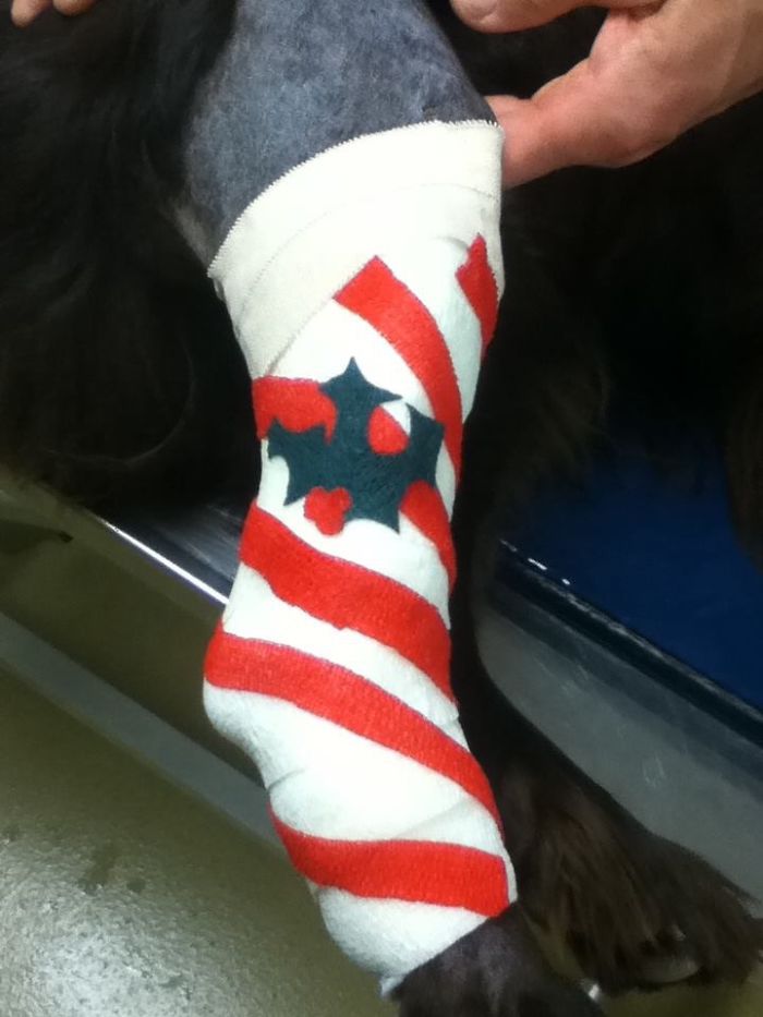 Creative Cast Art That Makes The Best Of A Bad Situation Creative Cast Art That Makes The Best Of A Bad Situation