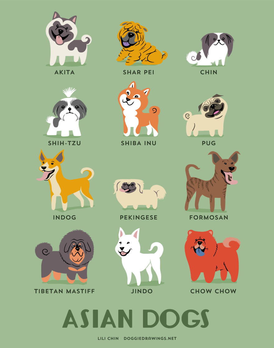 Dogs Of The World: Cute Posters Show The Origins Of 200+ Dog Breeds