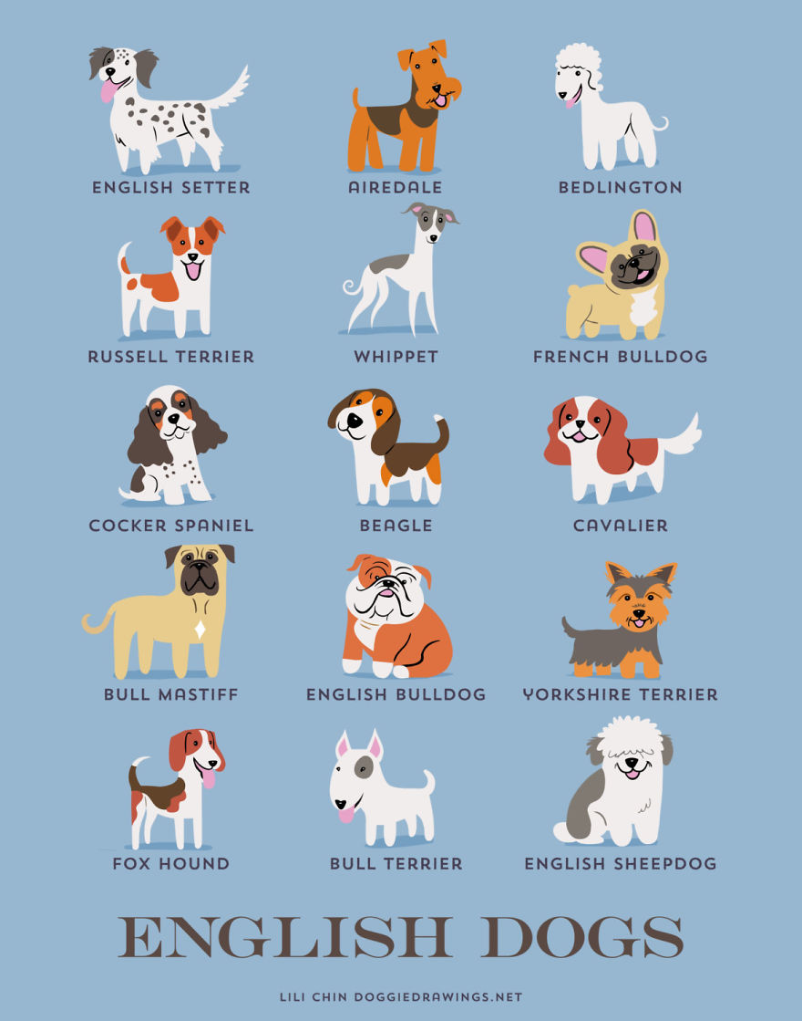 Dogs Of The World: Cute Posters Show The Origins Of 200+ Dog Breeds