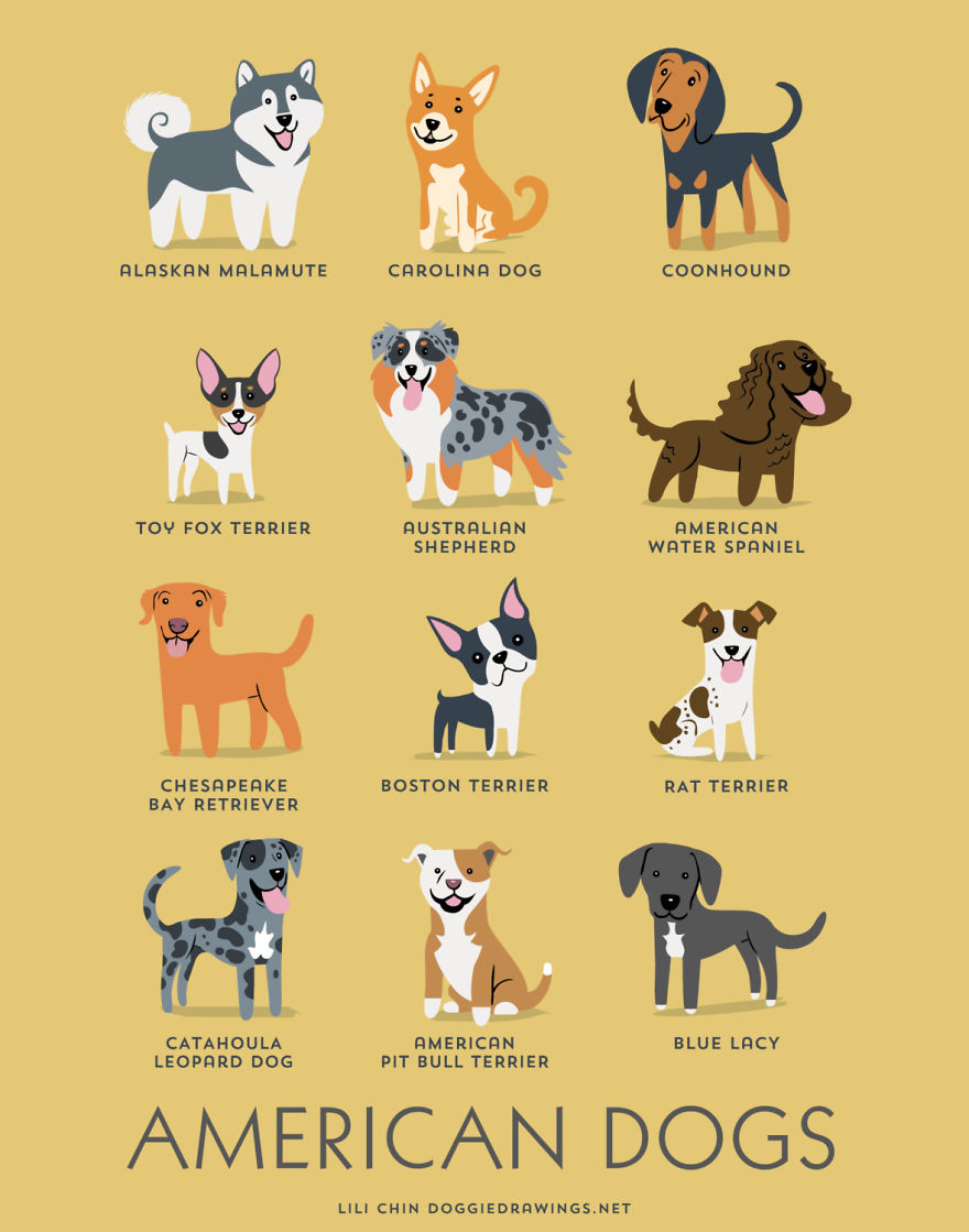 Dogs Of The World: Cute Posters Show The Origins Of 200+ Dog Breeds