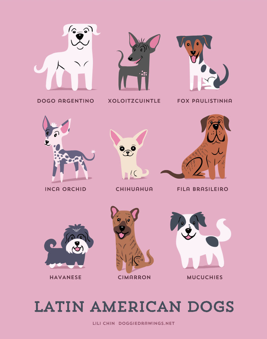 Dogs Of The World: Cute Posters Show The Origins Of 200+ Dog Breeds