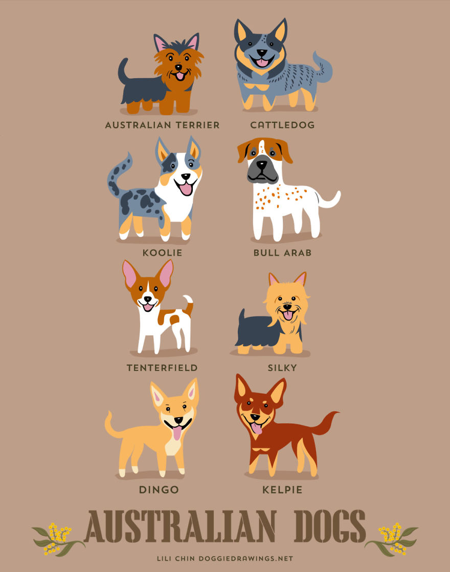 Dogs Of The World: Cute Posters Show The Origins Of 200+ Dog Breeds