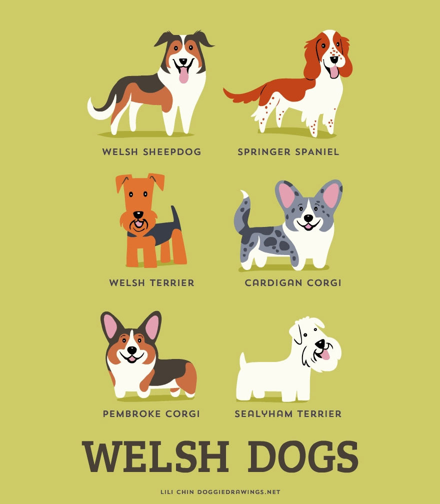 Dogs Of The World: Cute Posters Show The Origins Of 200+ Dog Breeds