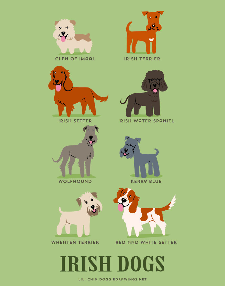 Dogs Of The World: Cute Posters Show The Origins Of 200+ Dog Breeds