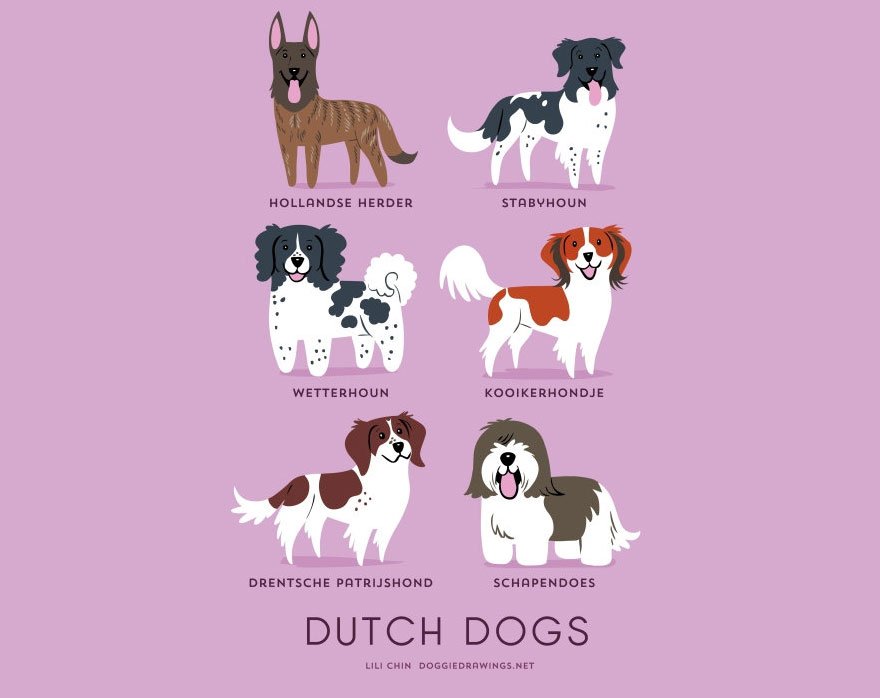 Dogs Of The World: Cute Posters Show The Origins Of 200+ Dog Breeds