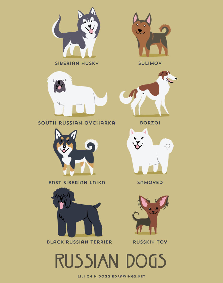 Dogs Of The World: Cute Posters Show The Origins Of 200+ Dog Breeds