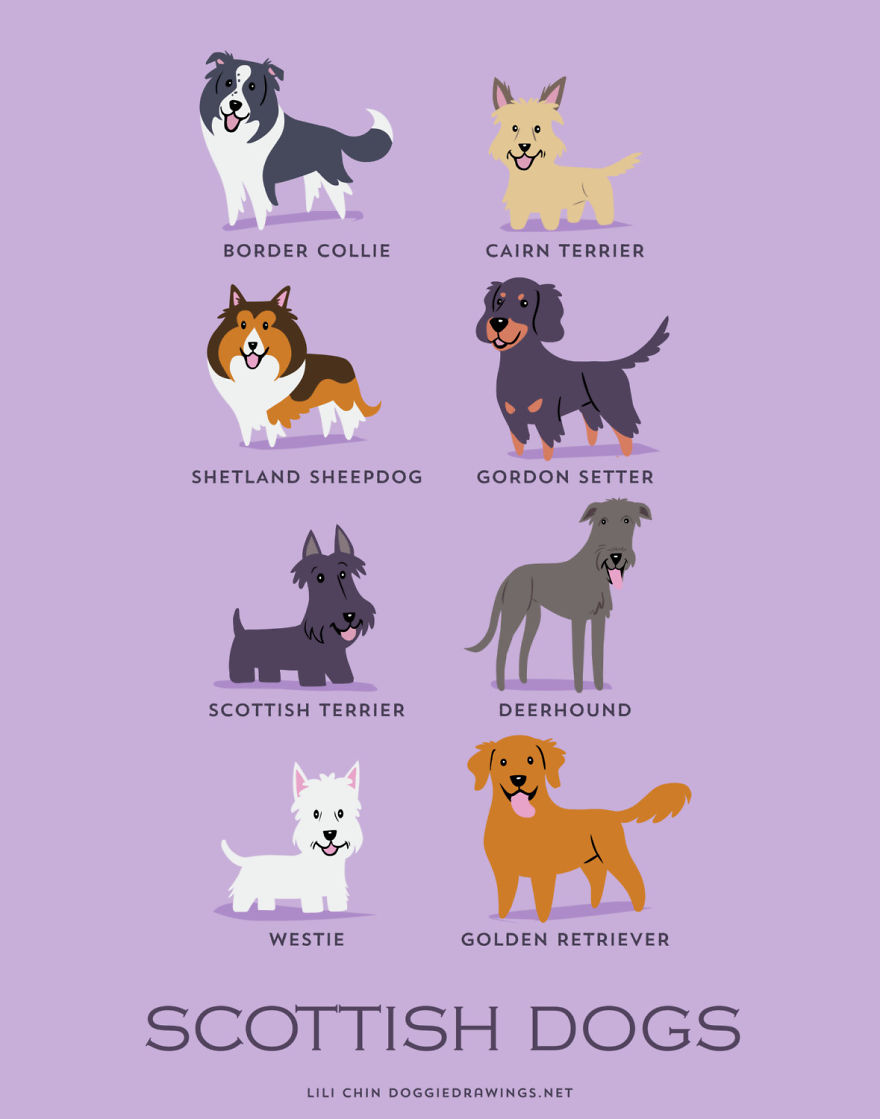 Dogs Of The World: Cute Posters Show The Origins Of 200+ Dog Breeds