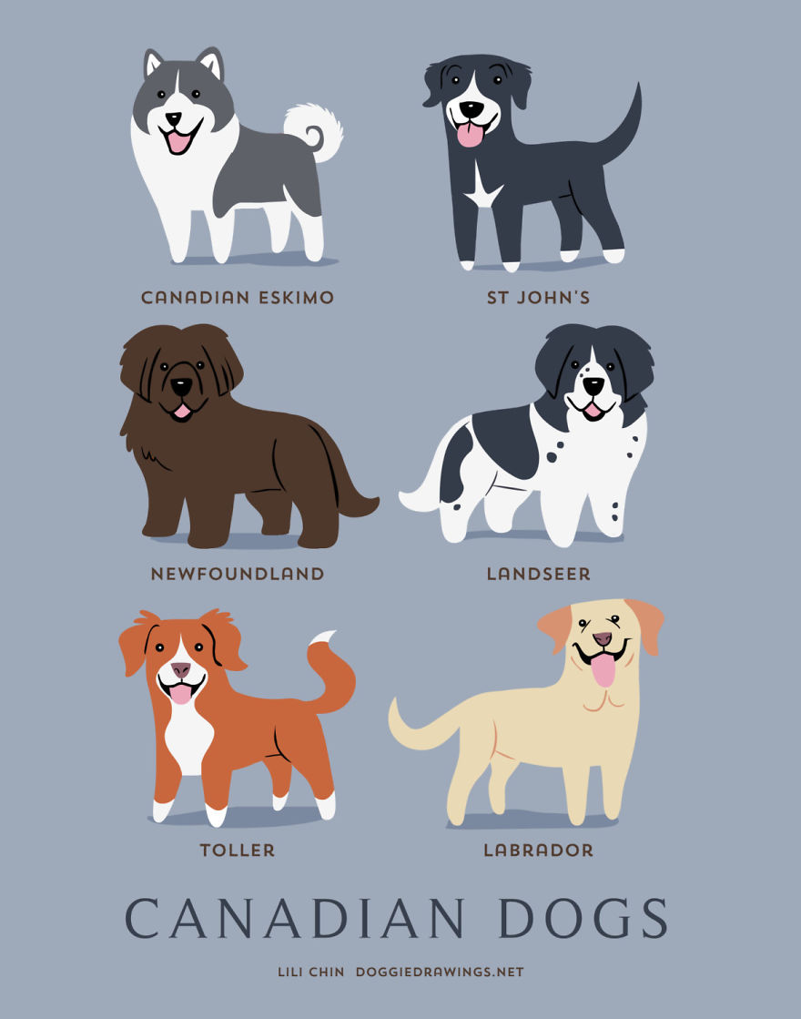Dogs Of The World: Cute Posters Show The Origins Of 200+ Dog Breeds
