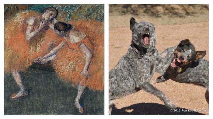 Dogs That Look Like Something Else