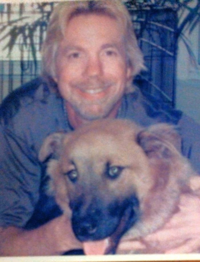 Dogs That Look Like Something Else