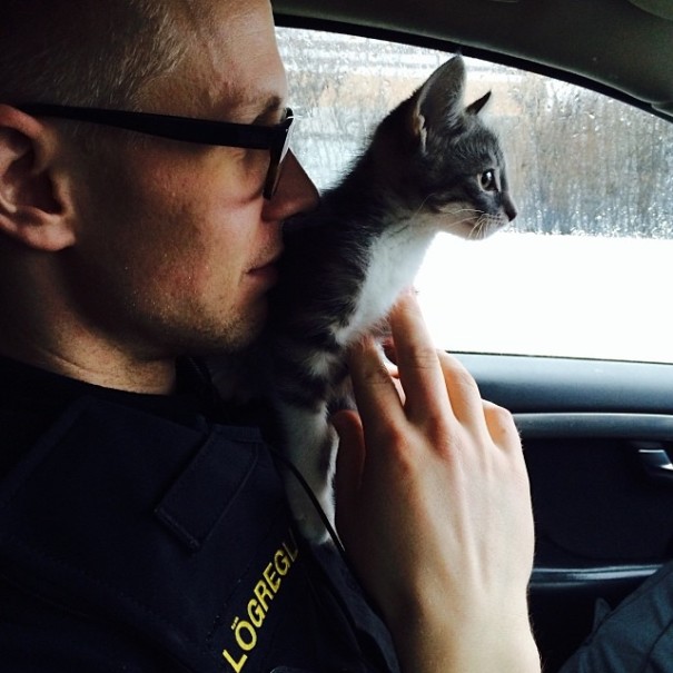 The Reykjavik Police Have An Instagram Full Of Puppies, Kittens And Ice Cream The Reykjavik Police Have An Instagram Full Of Puppies, Kittens And Ice Cream