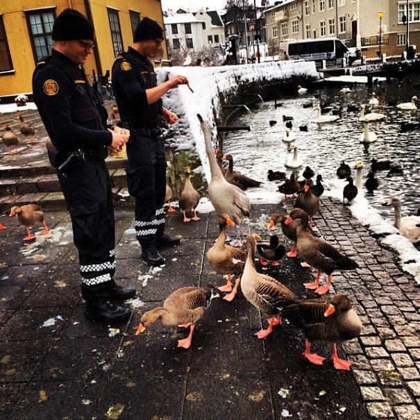 The Reykjavik Police Have An Instagram Full Of Puppies, Kittens And Ice Cream The Reykjavik Police Have An Instagram Full Of Puppies, Kittens And Ice Cream