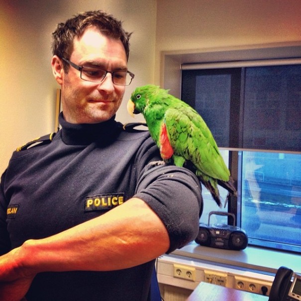 The Reykjavik Police Have An Instagram Full Of Puppies, Kittens And Ice Cream The Reykjavik Police Have An Instagram Full Of Puppies, Kittens And Ice Cream