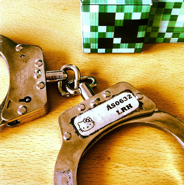 The Reykjavik Police Have An Instagram Full Of Puppies, Kittens And Ice Cream The Reykjavik Police Have An Instagram Full Of Puppies, Kittens And Ice Cream