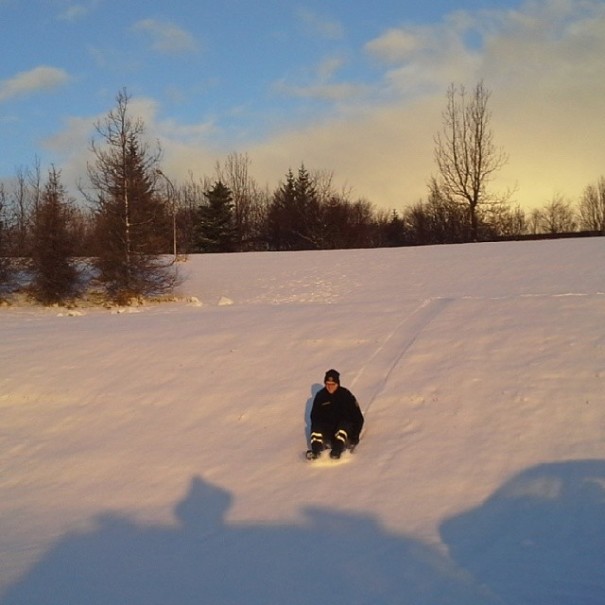 The Reykjavik Police Have An Instagram Full Of Puppies, Kittens And Ice Cream The Reykjavik Police Have An Instagram Full Of Puppies, Kittens And Ice Cream
