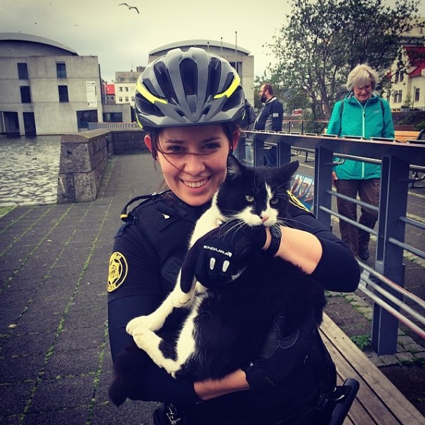 The Reykjavik Police Have An Instagram Full Of Puppies, Kittens And Ice Cream The Reykjavik Police Have An Instagram Full Of Puppies, Kittens And Ice Cream