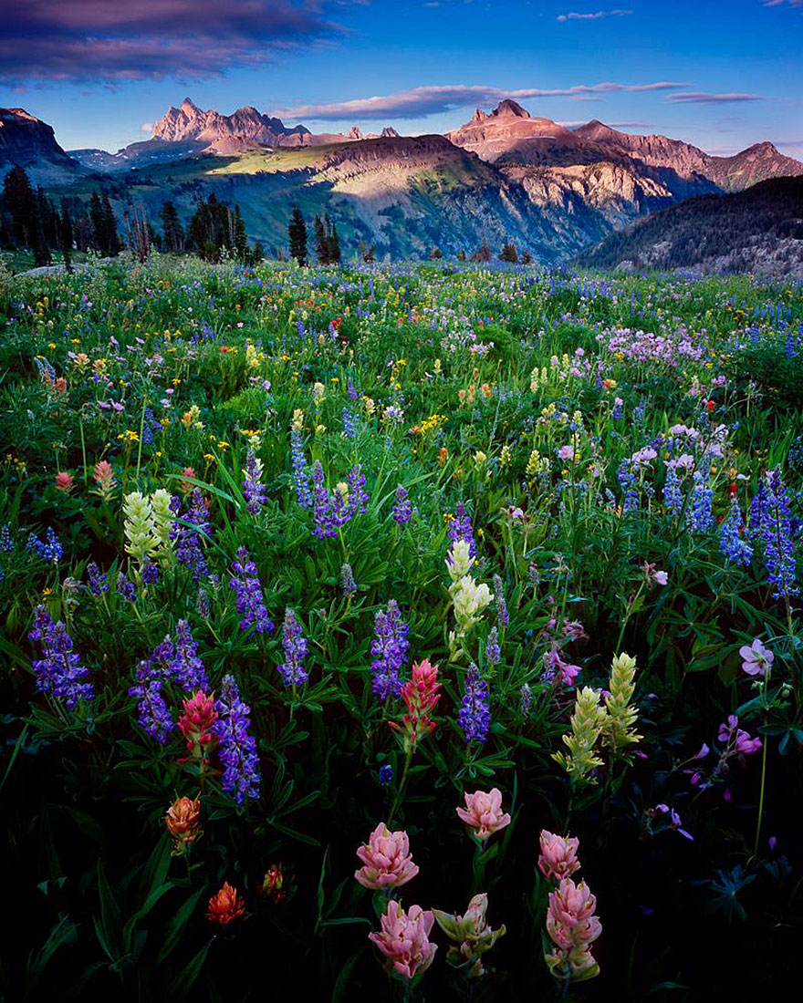 18 Of The Best Wilderness Photos From The Smithsonian&#8217;s &#8220;Wilderness Forever&#8221; Photo Contest
