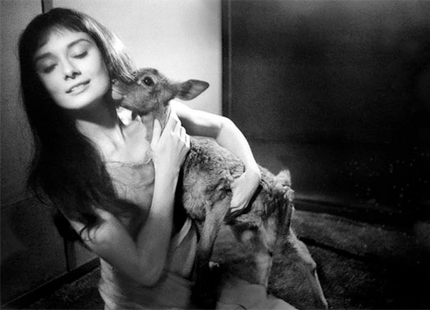 Rare Photos Of Audrey Hepburn That Capture Her Iconic Charm